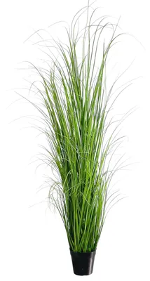 Produktbild von Kunstpflanze Gras, GRASBUSCH IM TOPF. Ca. 120cm. OHNE Übertopf.