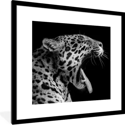 Produktbild von MuchoWow® Gerahmtes Poster Jaguar - Tier - Schwarz - Weiß 40x40 cm - Poster mit Schwarzem Bilderrahmen Wandposter Rahmen Foto Bilder - Poster - Plakat im Rahmen