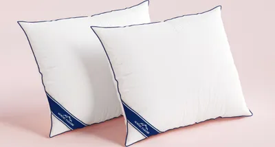 Produktbild von Nordic Paradise - Klassisches Federkissen (2 Stück) - 50x70 cm - französische Entendaunen und Federn - 1400gr - Kopfkissen mit fester Stütze - Allergiker geeignet