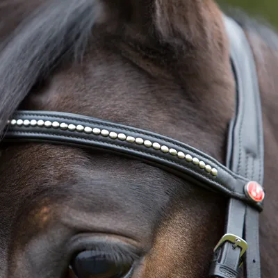 Produktbild von Kieffer Trensenzaum Ultrasoft - schwarz - Pony
