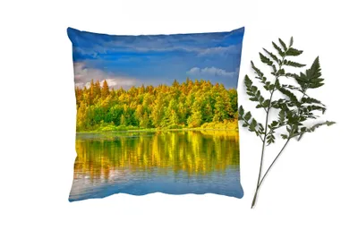 Produktbild von MuchoWow® Zierkissen Sofakissen Wohnzimmer Dekokissen 45x45 cm Wasser - Natur - Wald - Schlafpolster - Polster für das Sofa