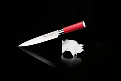Immagine prodotto di F. DICK Tranchiermesser Red Spirit Küchenmesser Klinge 21cm X55CrMo14 56° HRC
