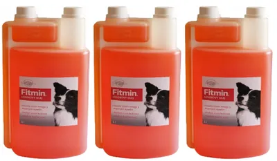 Produktbild von Fitmin Dog Lachsöl 1L (3-er pack)