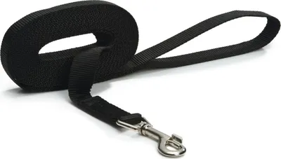 Produktbild von Beeztees Suchleine - Nylon - schwarz - 5M