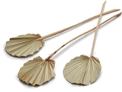 Produktbild von Palmenblatt 'Rund', naturbelassen oder gebleicht, frei wählbar, 10 Stk. ca. 30-40cm, Farbe:Natur