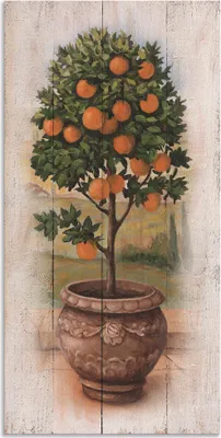 Produktbild von ARTland Wandbild Alu für Innen & Outdoor Orangenbaum mit Holzoptik Größe: 50x100 cm