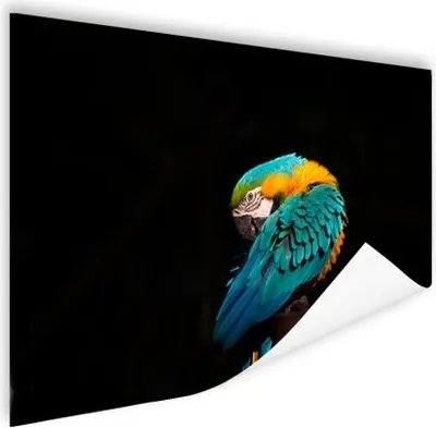 Produktbild von MuchoWow® Poster Porträt nein 180x120 cm - Fotoplakat