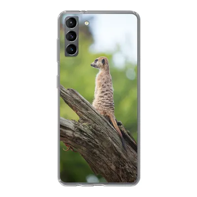 Produktbild von MuchoWow® Handyhülle Schutzhülle Hülle für Samsung Galaxy S21 Plus Erdmännchen - Ast - Baum Silikon Softcase Handy Hülle - Handy-Tasche