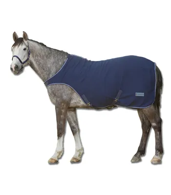 A gray horse wearing a navy blue horse blanket.