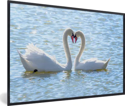 Produktbild von MuchoWow® Gerahmtes Poster Vögel - Schwan - Wasser - Liebe - Sonne 30x20 cm - Poster mit Schwarzem Bilderrahmen Wandposter Rahmen Foto Bilder - Kunstdruck - Bild-Poster