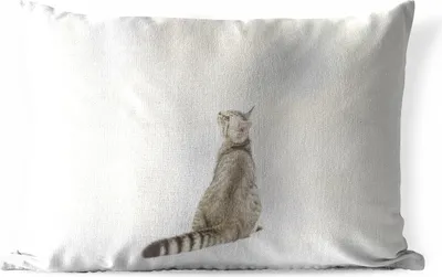 Produktbild von MuchoWow® Outdoor Kissen - Katze - Haustiere - Fell - 60x40 cm - Wetterfest - Lounge Kissen - Zierkissen - Kissen für Innenräume