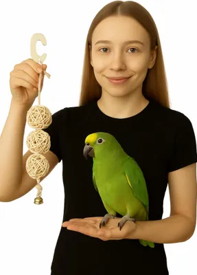 Produktbild von Happy Balls - für kleine und mittelgroße Papageien
