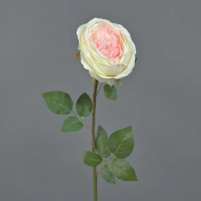 Produktbild von artplants.de Kunst Rose THYRI, Creme-rosa, 65cm - Textil Rose