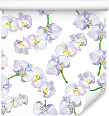 Zdjęcie produktu dla Tapeta Dekoracja Ścienna idealna do salonu orchidea storczyk kwiaty natura z modnym efektem 3D