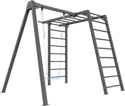 An outdoor gym set with a swing, monkey bars, and ladders.