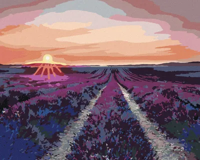 Produktbild von Zuty - Malen nach Zahlen - LAVENDELFELD UND SONNENUNTERGANG, 40x50 cm, mit Keilrahmen (bereits gespannt)