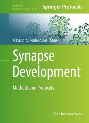 Immagine prodotto di Synapse Development