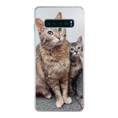 Produktbild von MuchoWow® Handyhülle Schutzhülle Hülle für Samsung Galaxy S10 Plus Katze - Kätzchen - Fell Silikon Softcase Handy Hülle - Schutzhülle