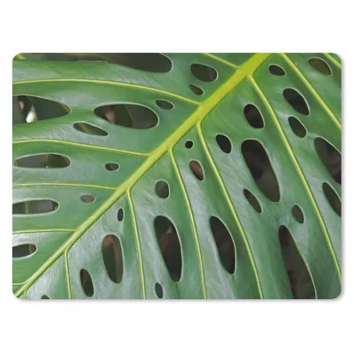 Produktbild von MuchoWow® Mauspad Mousepad Impression eines grünen und botanischen Blattes 40x30 cm - Mousepads - Maus Mat - Pad - Mausunterlage - Anti Rutsch