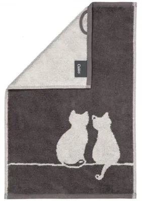 Produktbild von Cawö Gästehandtuch Cute Cats Katze You & Me Basalt Platin (30x50cm)
