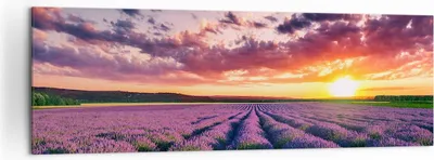Produktbild von Bild auf Leinwand - Leinwandbild - Lavendel Berge Feld - 160x50cm - Wand Bild - Wanddeko - Leinwanddruck - Bilder - Kunstdruck - Wanddekoration - Leinwand bilder - Wandkunst - AB160x50-3816