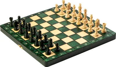 Produktbild von MAGNETISCHES SCHACHSPIEL, grün (28 x 28 cm)
