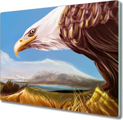 Produktbild von Coloray Hackbrett Kochplattenabdeckung Herdabdeckplatte 60x52 cm Schneidebrett Küchenbrett - Tier Vogel Adler Himmel