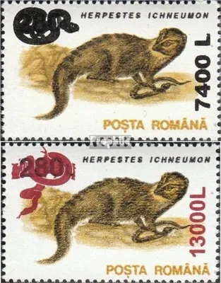 Produktbild von Briefmarken Rumänien 2001 Mi 5552-5553 (kompl.Ausg.) postfrisch Freimarken: Tiere