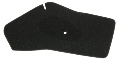 Productafbeelding van Luchtfilter voor Honda SFX 50V/SV '95-, (HFA1005DS) (20 stuks)