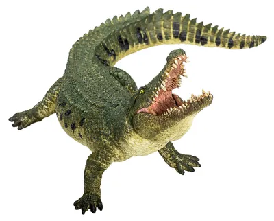 Zdjęcie produktu dla Mojo Fun Crocodile with Articulated Jaw, 3 lat(a), Wildlife, Zielony, Czarny, Biały, Polichlorek winylu (PVC)