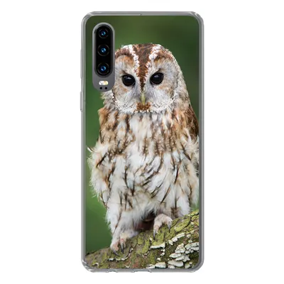 Produktbild von MuchoWow® Handyhülle Schutzhülle Hülle für Huawei P30 Braune Eule sitzt auf einem Baum Silikon Softcase Handy Hülle - Kartenbesitzer