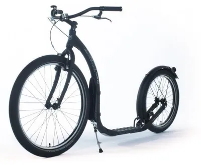 Imagen del producto de Kickbike Cruise Max, color