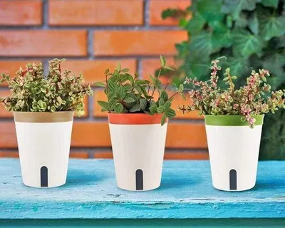 Obrázok produktu pre Samozavlažovací kvetináč 14,5 cm - záhradné kvetináče na bonsaje - ukazovateľ hladiny vody, odtokový otvor - 3 kusy