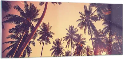 Produktbild von Bilder auf glas - Einteilig - Palmen Himmel Sonne - 100x40cm - Glasbilder - Wandbilder - Bilder - zum Aufhängen bereit - Wanddekoration aus Glas - Glas Bilder - Wandbild auf Glas - GAB100x40-4220