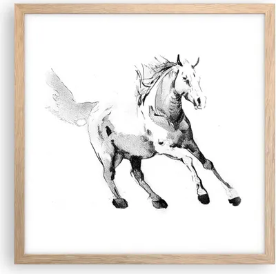 Produktbild von Gerahmtes Poster - Rahmen in heller Eiche - Pferd Galopp Tier - 40x40 cm - Wand Bild - Wanddeko - Wandbilder - Kunstposter - Wandposter - Bilderrahmen - Bilder - Kunstdruck - P2NAC40x40-5117