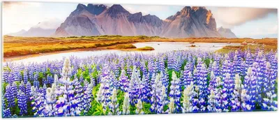Produktbild von Bilder auf glas - Berge Wiese Blumen - 140x50cm - Glasbilder - Wandbilder - Kunstdruck - zum Aufhängen bereit - Wanddekoration aus Glas - Glas Bilder - Wandbild auf Glas - Einteilig - GAB140x50-4114