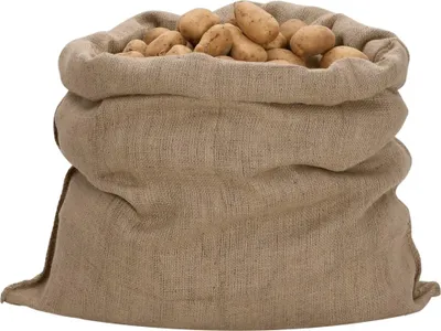 Produktbild von vidaXL Jutesäcke 10 Stück 100 x 110 cm 100 % Jute 340 g/m²