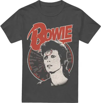 Produktbild von David Bowie - "Space Oddity" T-Shirt für Herren/Damen Uni TV17446 (XL) (Holzkohle)