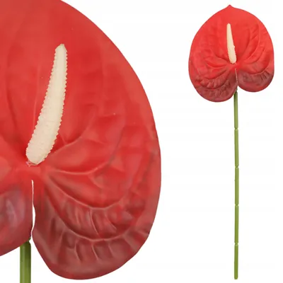 Obrázek produktu pro Topoblu Umělé Anturium Červené 59cm Jako Živé Dekorace