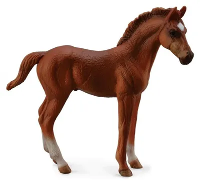 Image de Collecta Figurine Debout D'un Poulain Marron 3-6 Ans Marron 3-6 Ans