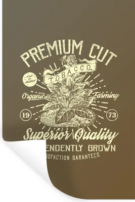 Produktbild von MuchoWow® - Wierderverwendbar - Selbstklebend