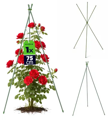 Produktbild von KADAX Rankhilfe für Kletterpflanzen, 75 cm, 1 Stück, Metall Blumenstütze mit wetterfester Kunststoffbeschichtung, Rankgerüst für Garten, Gewächshaus & Hochbeet