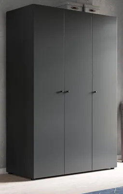 Produktbild von Kleiderschrank "Carter" in grau Drehtürenschrank 3-türig 120 x 176 cm, zusätzliche Einlegeböden