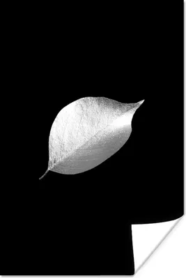 Produktbild von MuchoWow® Poster Blatt auf schwarzem Hintergrund - schwarz und weiß 120x180 cm - Kunstposter