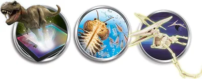 Three circular images showcasing different aspects of a product, likely related to dinosaurs and prehistoric life, possibly for an educational toy or game.