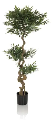 Zdjęcie produktu dla hjh OFFICE Sztuczna roślina ACACIA Sztuczna roślina aralia o liściach promienistych Wysokość 155,0 cm Dekoracja
