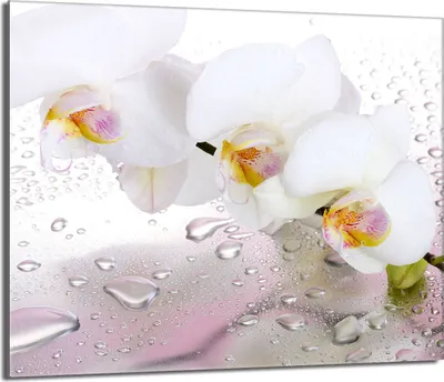 Obrázok produktu pre Kryt na sporák 60x52 Keramický kryt varnej dosky Splashback Sklenená doska Deco Doska na krájanie, Orchidea biela