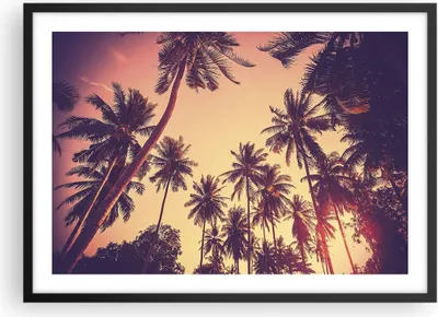 Produktbild von Gerahmtes Poster - Schwarzer Rahmen - Palmen Himmel Sonne - 70x50 cm - Wand Bild - Wanddeko - Wandbilder - Kunstposter - Wandposter - Bilderrahmen - Bilder - Kunstdruck - Wandbild - P2BAA70x50-4220