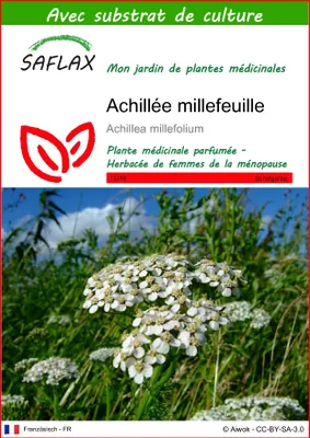 Image de SAFLAX  - Achillée millefeuille - 200 graines - Avec substrat - Achillea