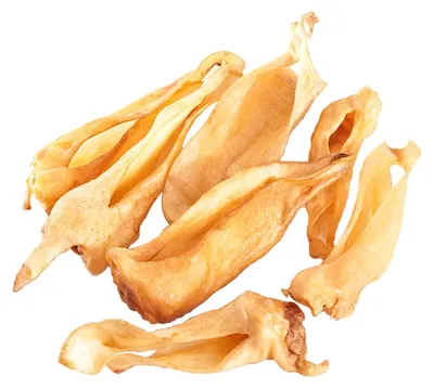 Produktbild von Mascota Vital Hunde-Kausnack Lamen 250 g